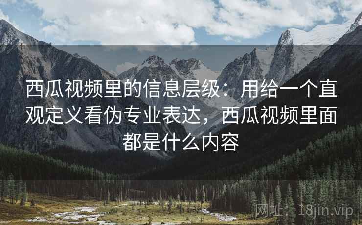 西瓜视频里的信息层级：用给一个直观定义看伪专业表达，西瓜视频里面都是什么内容